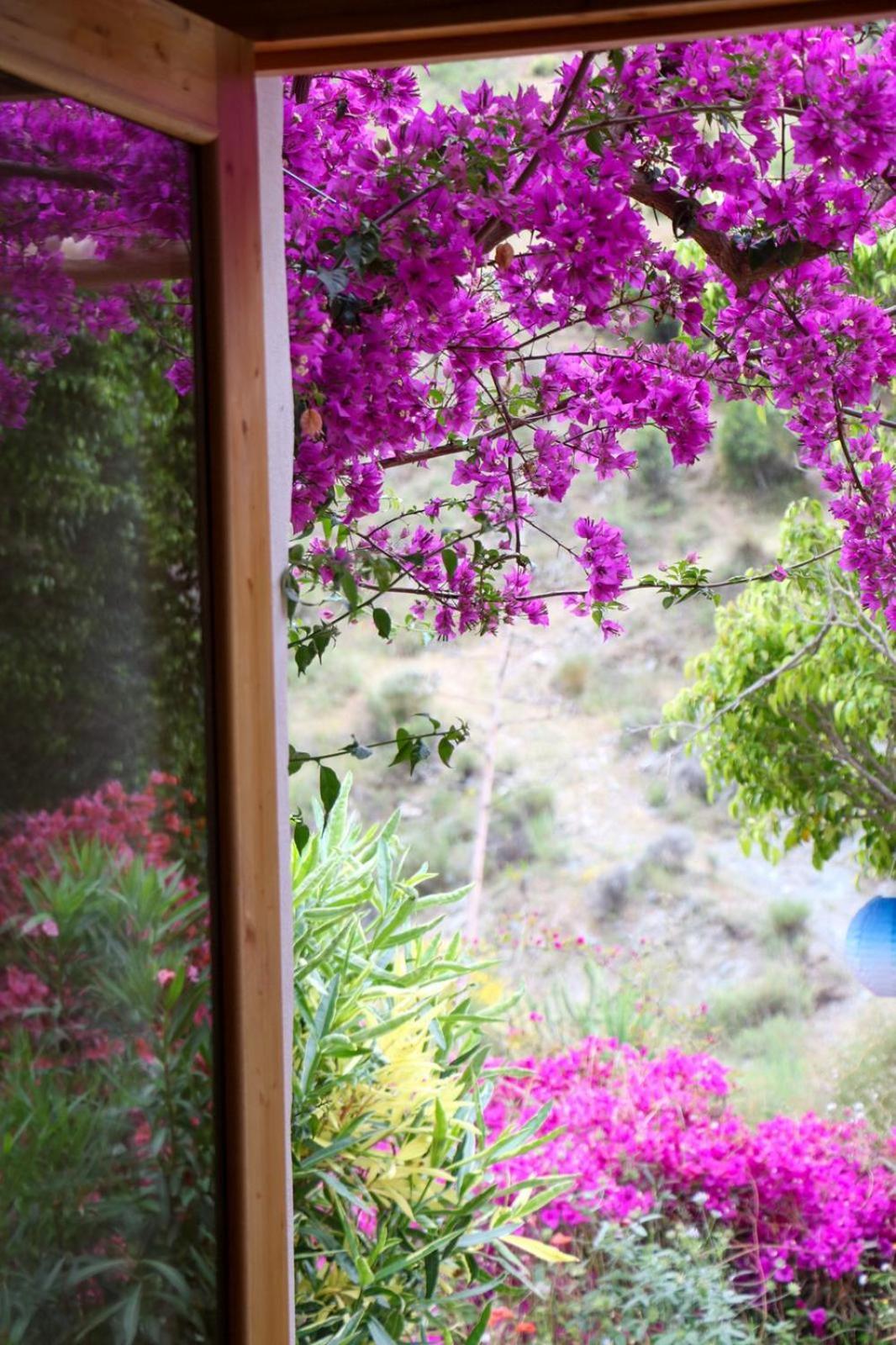 Cortijo Jamaica - Off Grid Paradise - Costa Tropical Los Diaz  Exterior photo